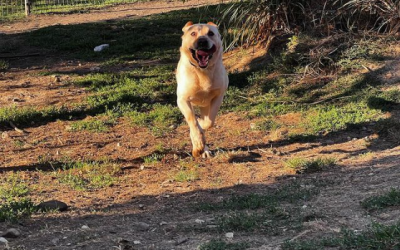 Intensidad es el segundo apellido de Bracco 🔥😈