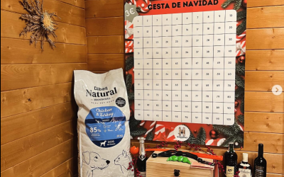 Cesta de navidad en Kinder Pet 🎄🐾
