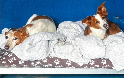 Momentos de descanso 💫